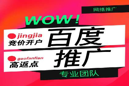 百度推广平台：提升转化率的广告策略案例